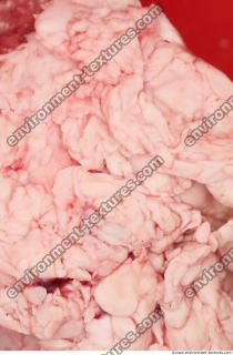 RAW meat pork 0246